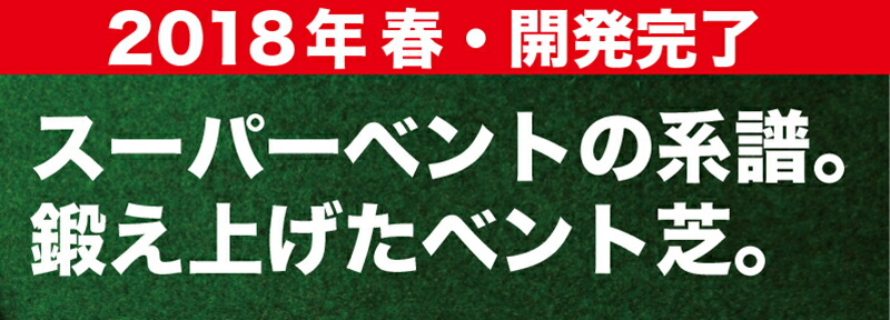 高速パターマット・トーナメント