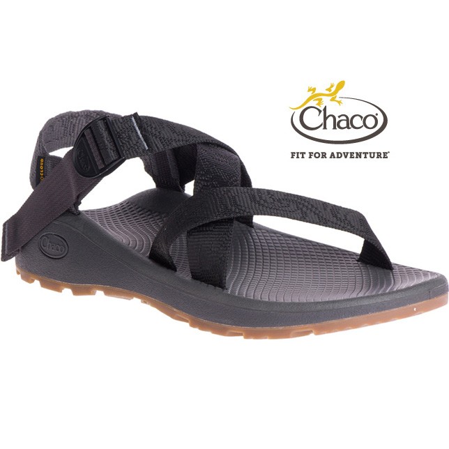 Chaco 㥳   Z 饦  Ms ZCLOUD iron 30th ˥С꡼ Sandal