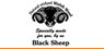 BLACK SHEEP ブラックシープカーディガンニット
