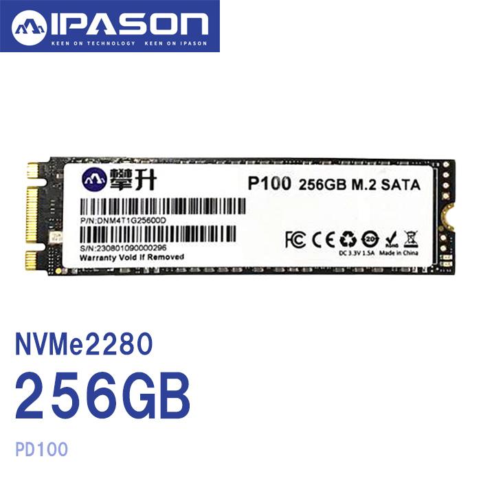 新品 IPASON SSD256GB NVMe M.2 2280 PCIe Gen 3.0 x2 3D TLC 省電力 最大読取り2000MB s 最大書込み1200MB PAMNVMeM2-256