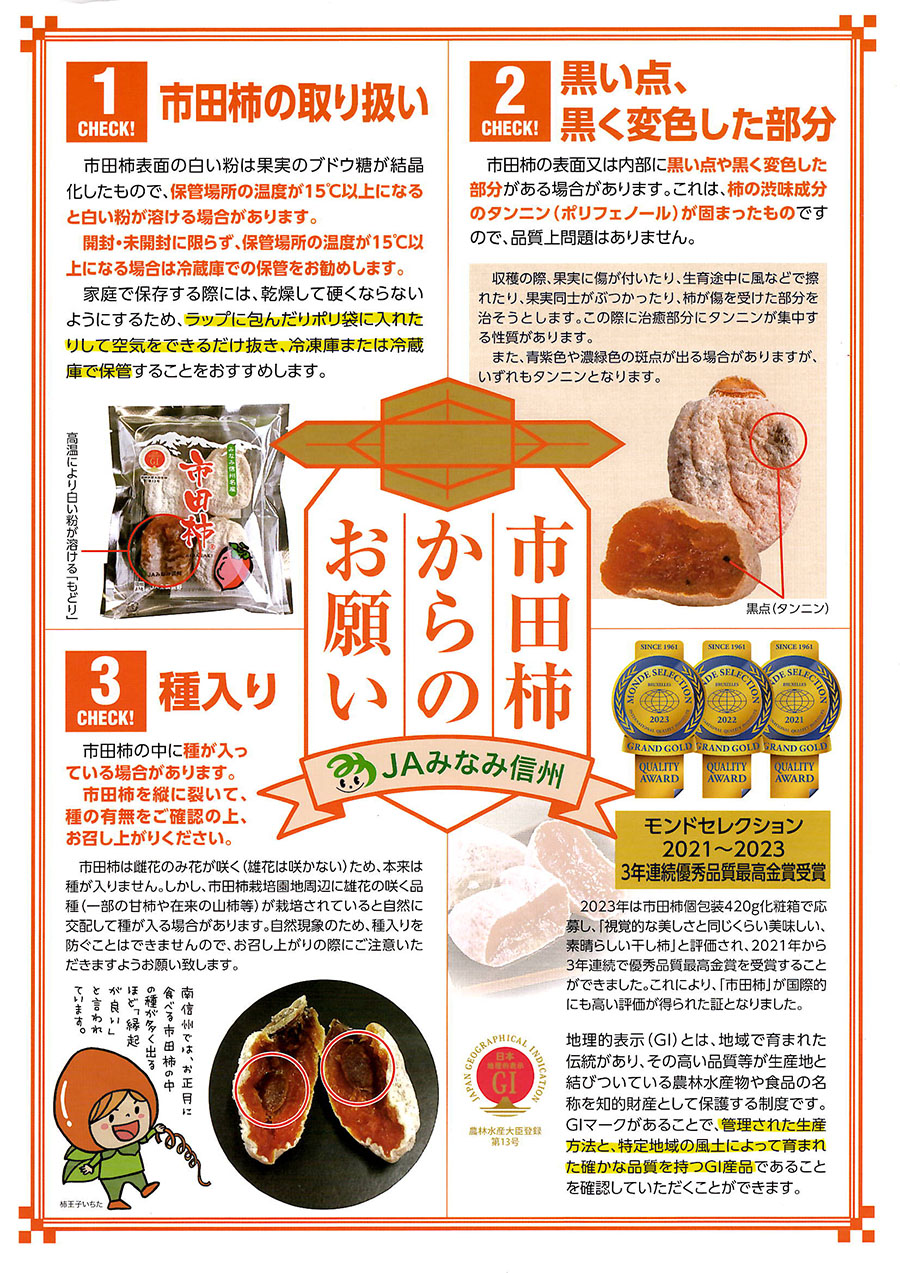 みなみ信州名産 市田柿 （干し柿） L〜2Lサイズ 170g パック