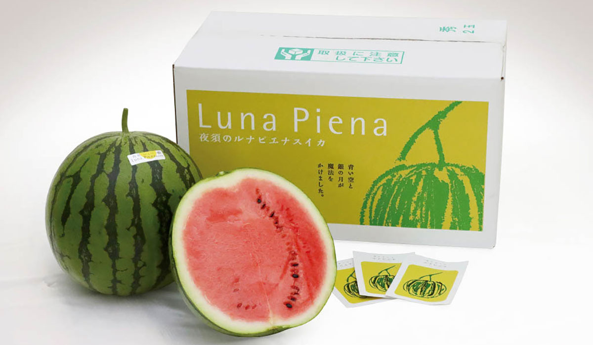 高知県産　夜須　ルナピエナスイカ