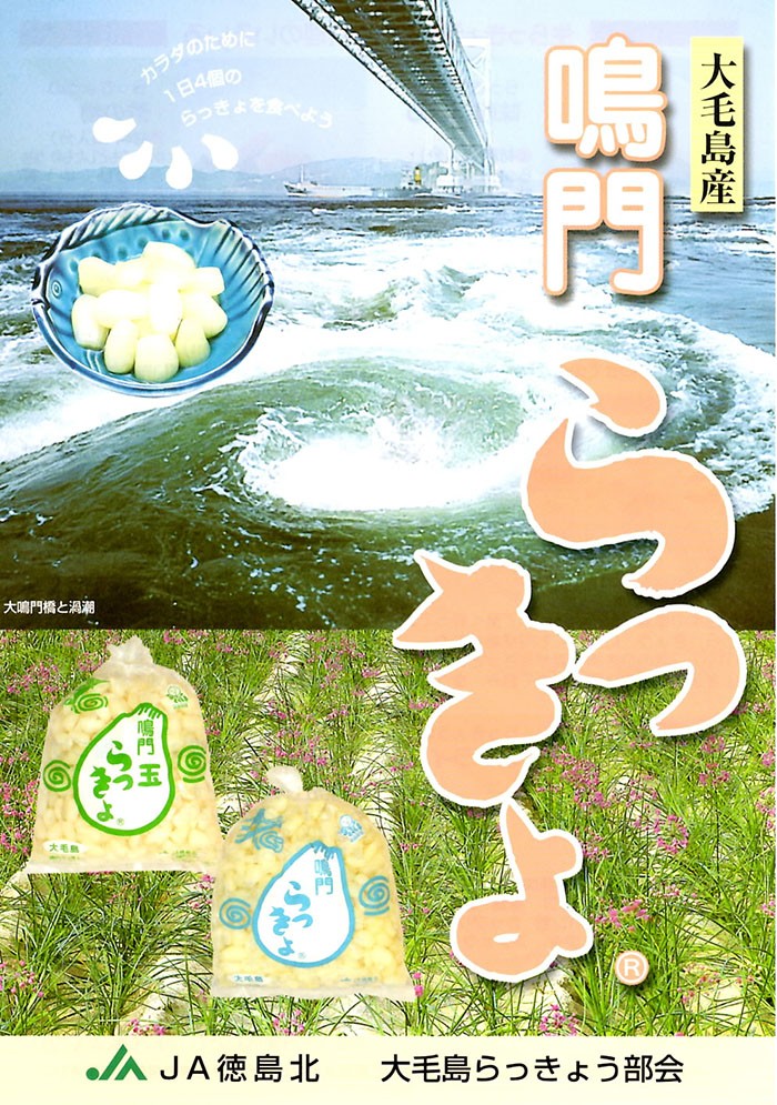 徳島県産 らっきょう 鳴門玉らっきょう 洗い 1kg 生鮮卸売市場 通販 Yahoo ショッピング