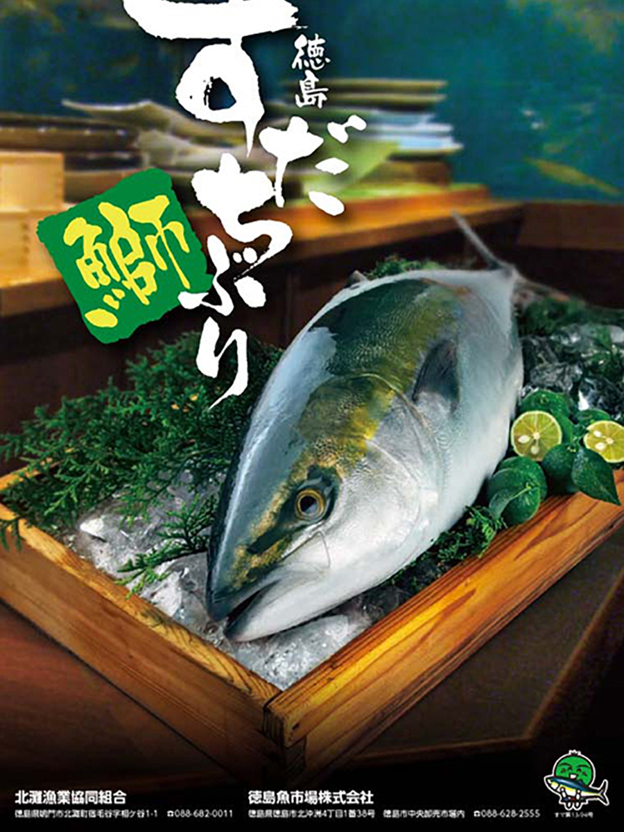 鰤さん専用 徳島県産 すだち鰤 半身（二分一）上身（骨なし）原体サイズ：約2.5