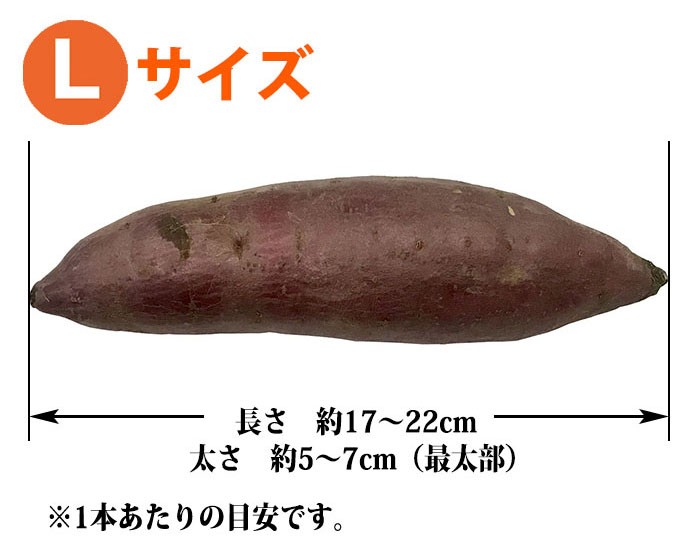 “紅はるか　Lサイズ"