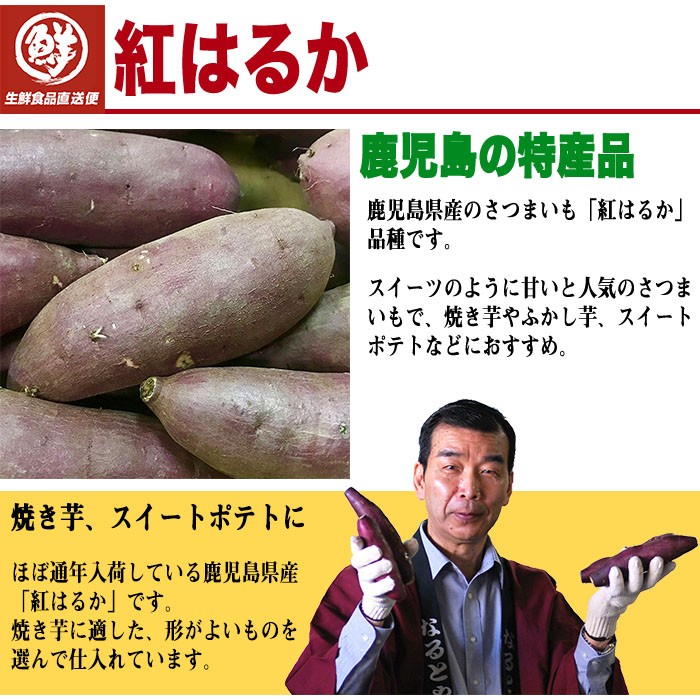 鹿児島県　さつまいも　紅はるか