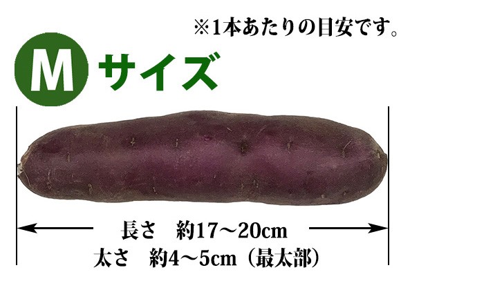 千葉県産 JAかとり パープルスイートロード（千葉むらさき） M