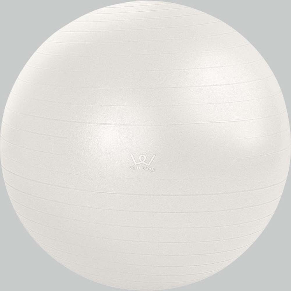 ALINCO アルインコ エクササイズボール 65cm WBF065