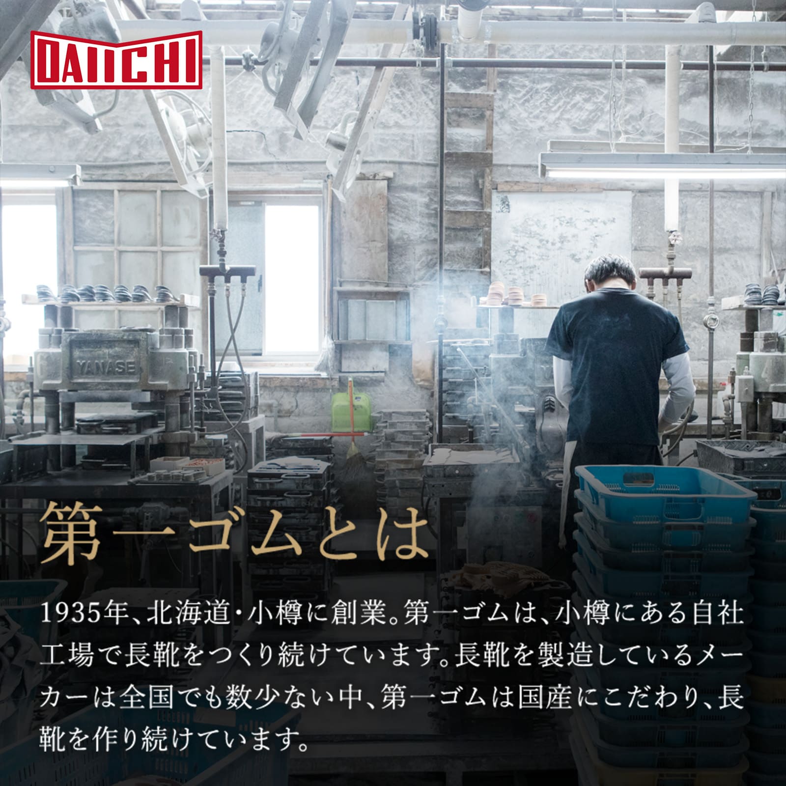 お取寄せ：5〜7営業日で発送]第一ゴム レディース 国産