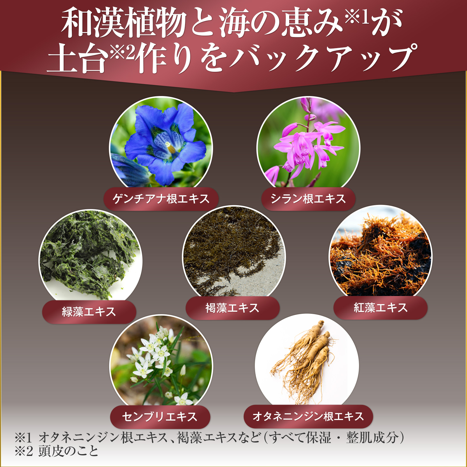 スカルプシャンプー 育毛剤 メンズ レディース プロピア プログノ 126EXplusシャンプー200ml 2本 + 薬用育毛剤216 2本セット_7