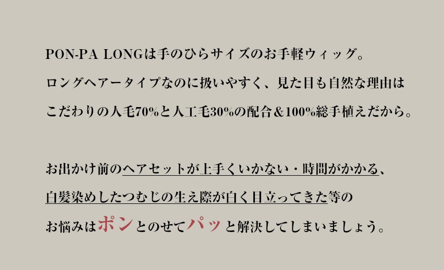 お出かけウィッグPON-PA LONGの説明