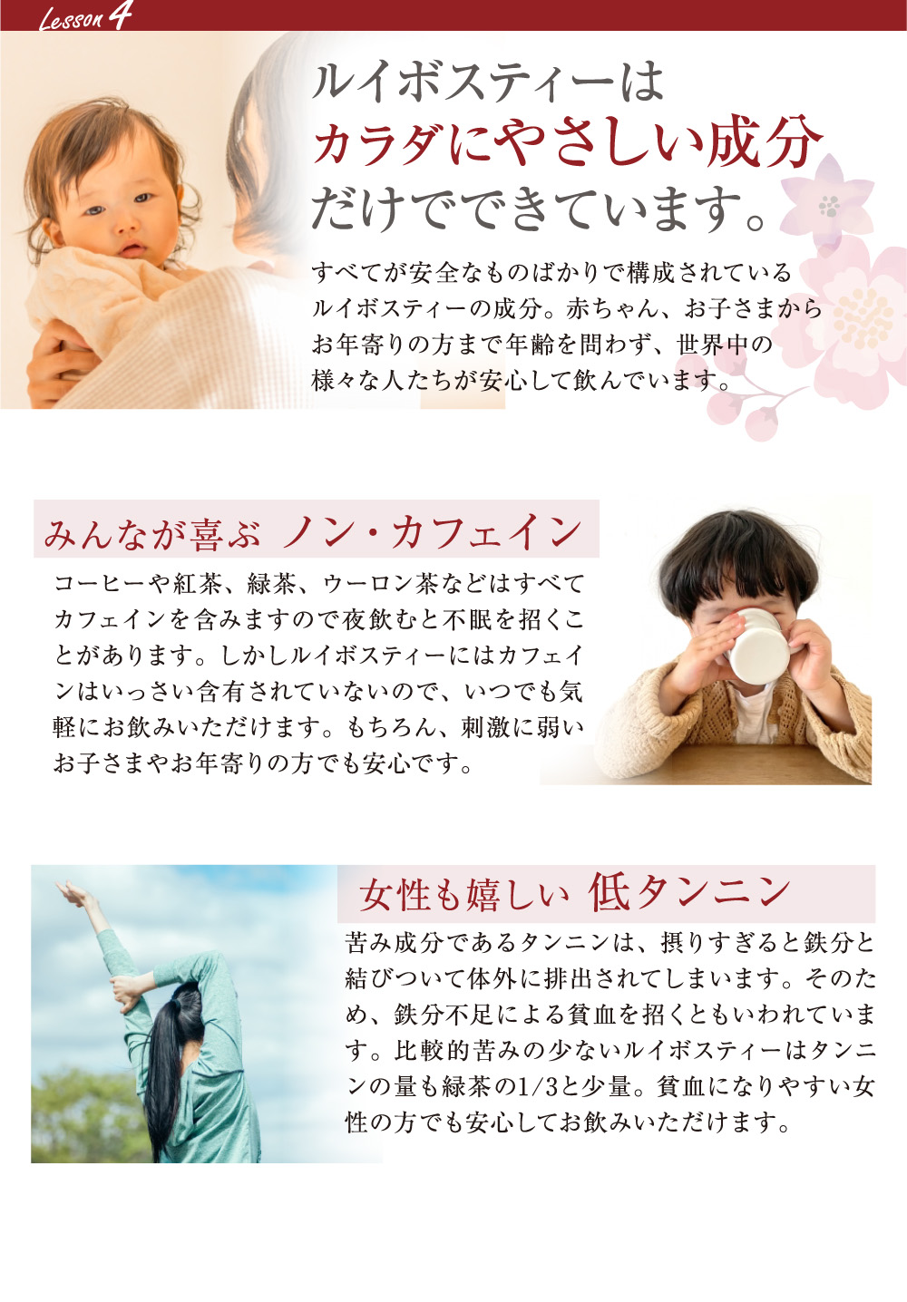 sabaルイボスティー