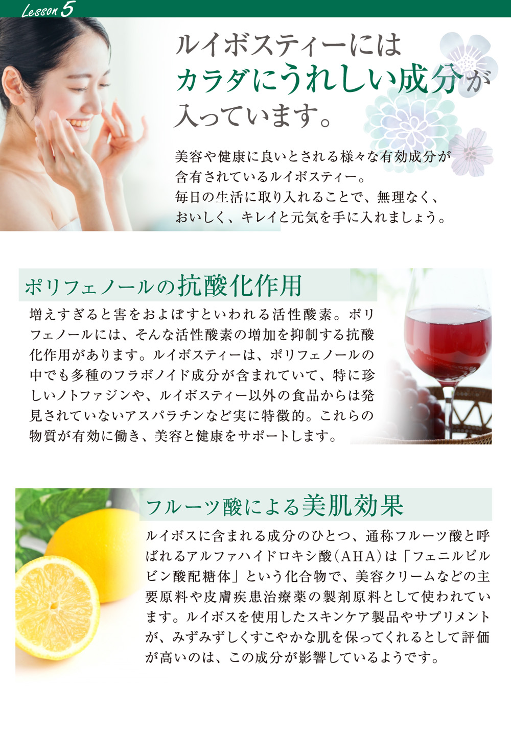 sabaルイボスティー