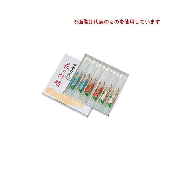 }GX 낤 Ԃ̓ 5D KN (6{) 10T317 (/H)