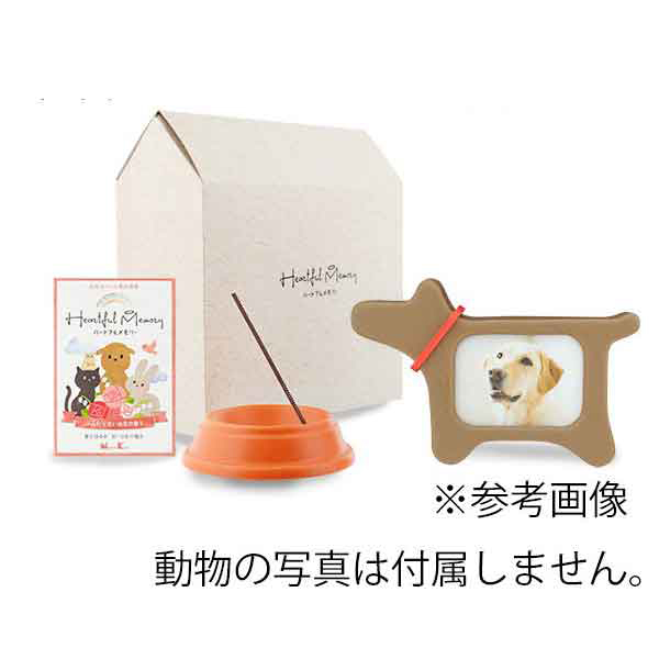 {@n[gt[Zbg@GWFEhbO 89532  Mtg  ̂ 蕨  ~ ފ (/H)