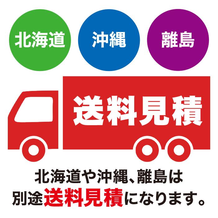 法人のみ 日動工業 送風機 ダイナミックファン300 DF-300CA (/A) : nd