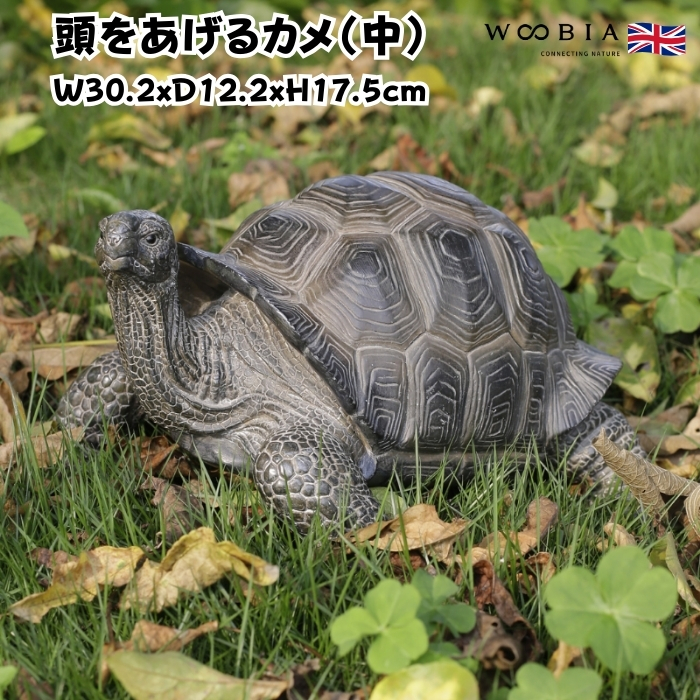 置物 頭をあげるカメ 中 亀グッズ 高さ17.5cm woobia 動物 おしゃれ 