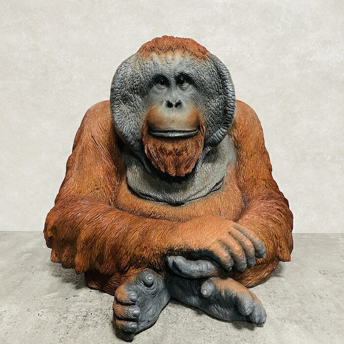 h15274-12.jpg?size=n