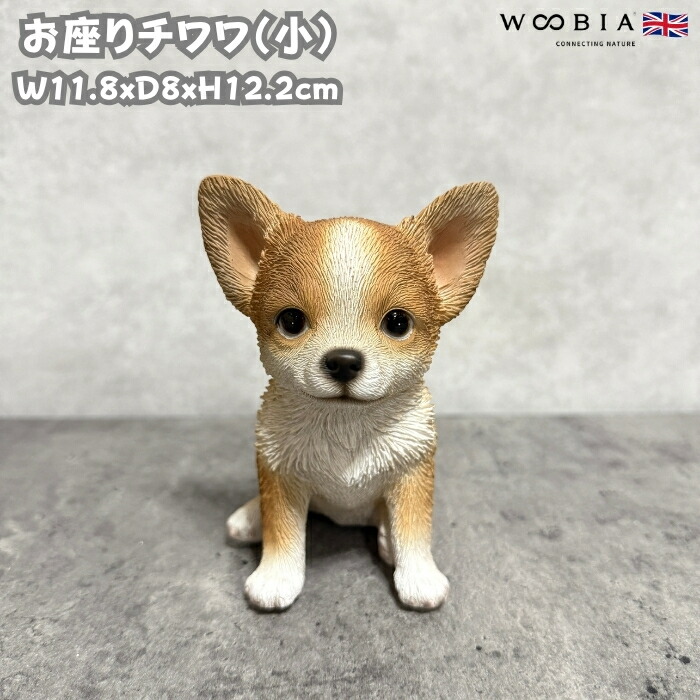 犬 置物 おしゃれ お座りチワワ 小 茶白 かわいい 動物 インテリア