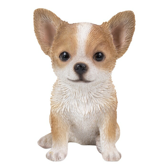 犬 置物 おしゃれ お座りチワワ 小 茶白 かわいい 動物 インテリア オブジェ ガーデンオーナメント woobia ウービア |  | 09