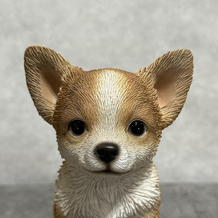 イヌ　犬　チワワ　陶器　オブジェ　置物　インテリア　工芸品　美術品　A2791 犬 置物 おしゃれ お座りチワワ 小 茶白 かわいい 動物 インテリア