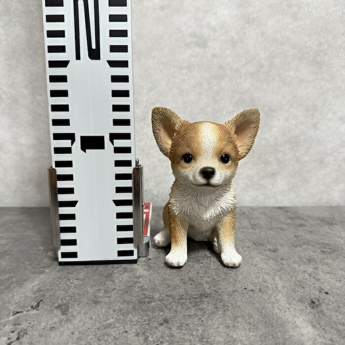 犬 置物 おしゃれ お座りチワワ 小 茶白 かわいい 動物 インテリア オブジェ ガーデンオーナメント woobia ウービア |  | 07