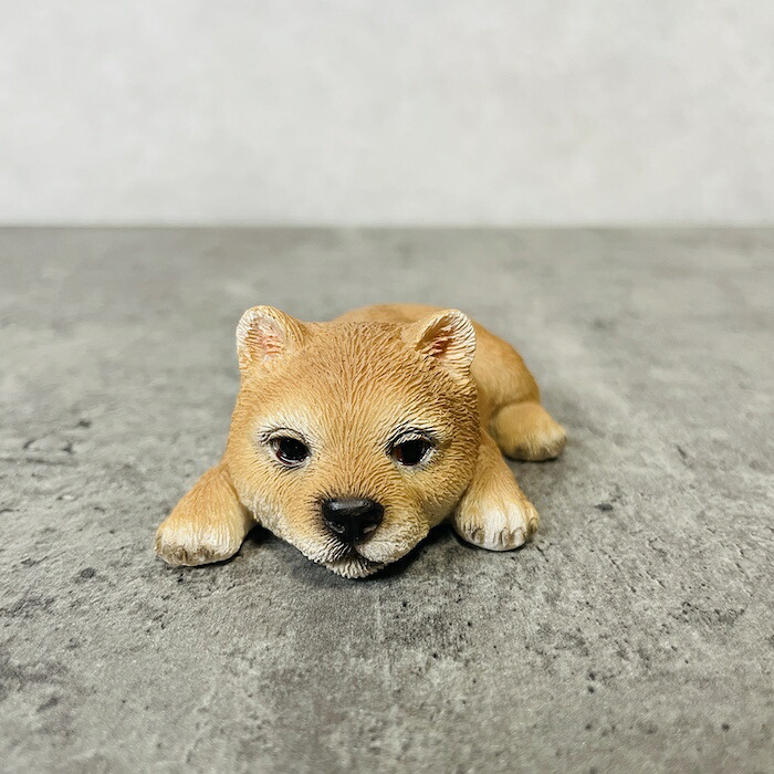 置物 犬 かわいい 動物 玄関 うつぶせ柴犬 グッズ おしゃれ インテリア 卓上 ガーデン 庭 woobia ウービア |  | 02