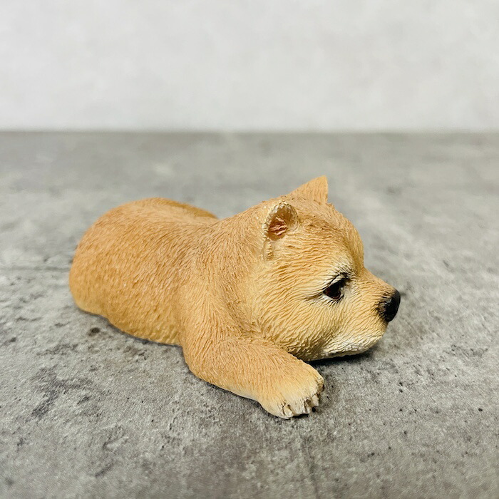 置物 犬 かわいい 動物 玄関 うつぶせ柴犬 グッズ おしゃれ インテリア 卓上 ガーデン 庭 woobia ウービア |  | 03