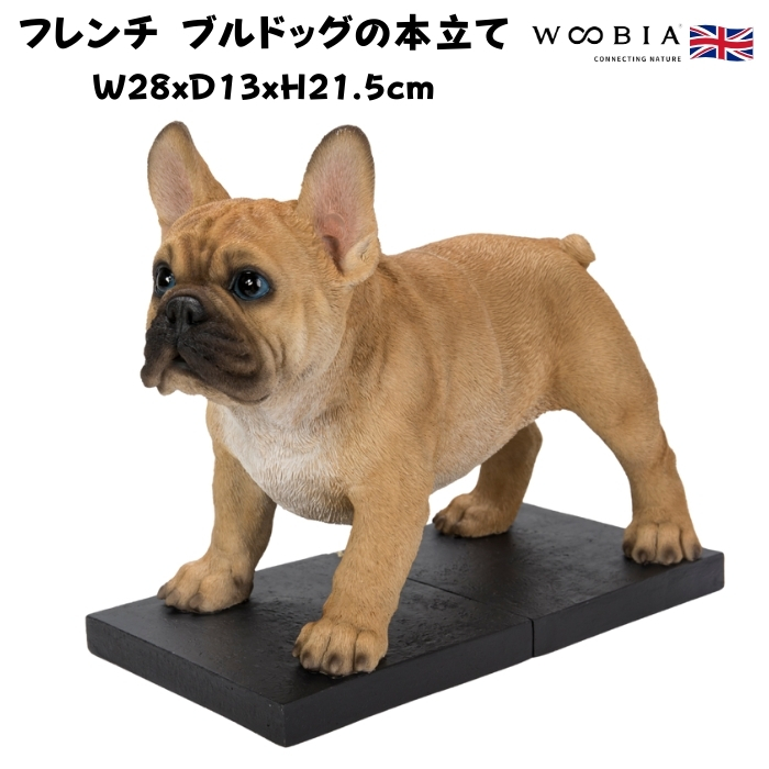 かっこ良いなフレンチブルドッグの本立て 書き付け照明ランプ ブックエンド 飾りつけ 毛の荒物 かっこ良い 入り口・入口 室内装飾 woobia ウービア 差し上げ物 差し上げ物 アニマルオブジェ キッチン、日用品、文具-文具、ステーショナリー