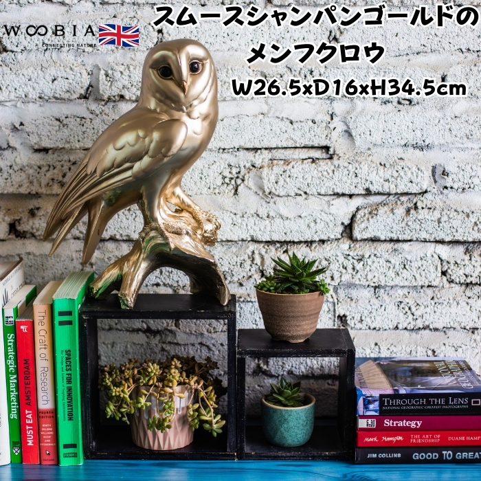 オウム レッド&ブルー Parrot 強化プラスチック 置物 軽量 フィギュア