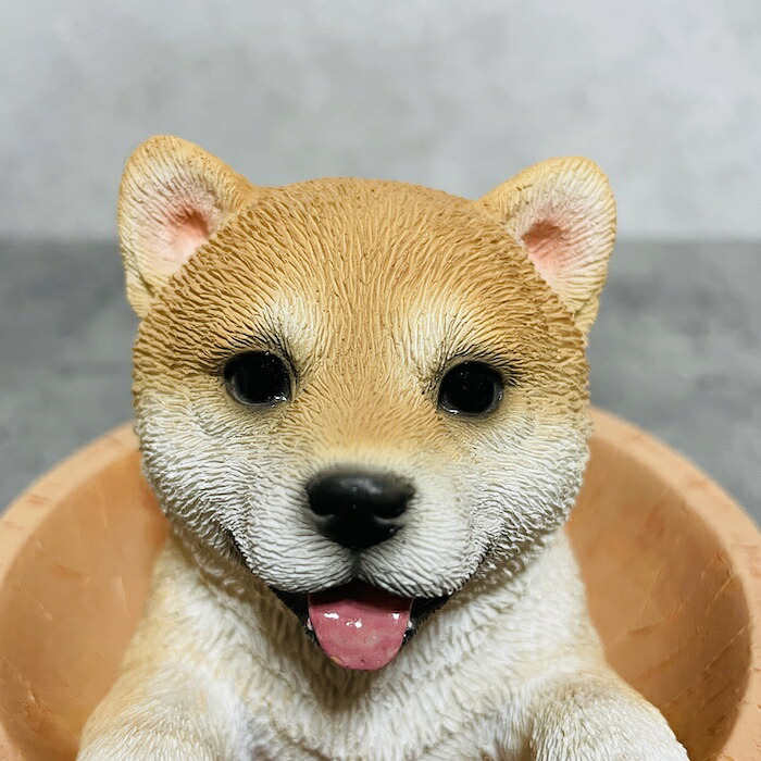 置物 犬 かわいい 動物 玄関 柴犬マグネットクリップ入れ 小物入れ イヌ おしゃれ インテリア 卓上 woobia ウービア |  | 06