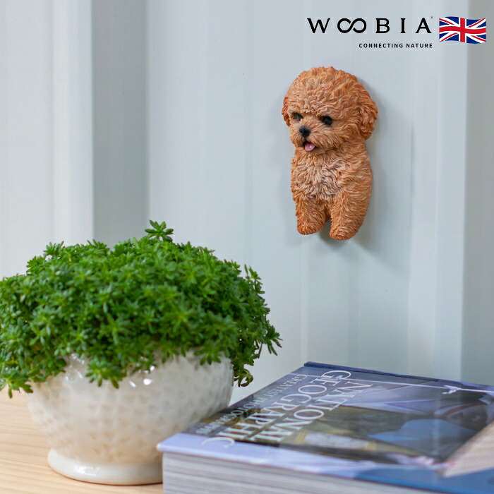 かわいい犬のオブジェ プードルのマグネット イヌ おしゃれ 玄関 インテリア 卓上 woobia ウービア | 