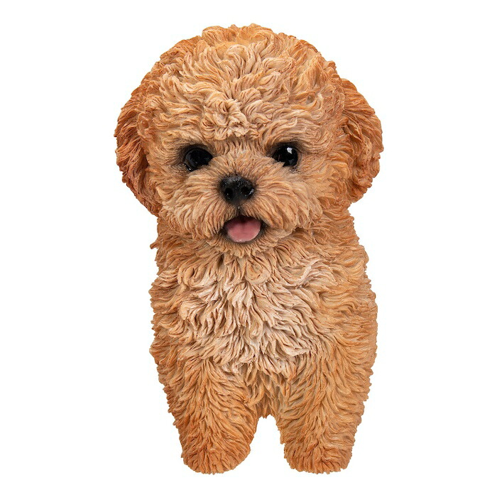 かわいい犬のオブジェ プードルのマグネット イヌ おしゃれ 玄関 インテリア 卓上 woobia ウービア |  | 01