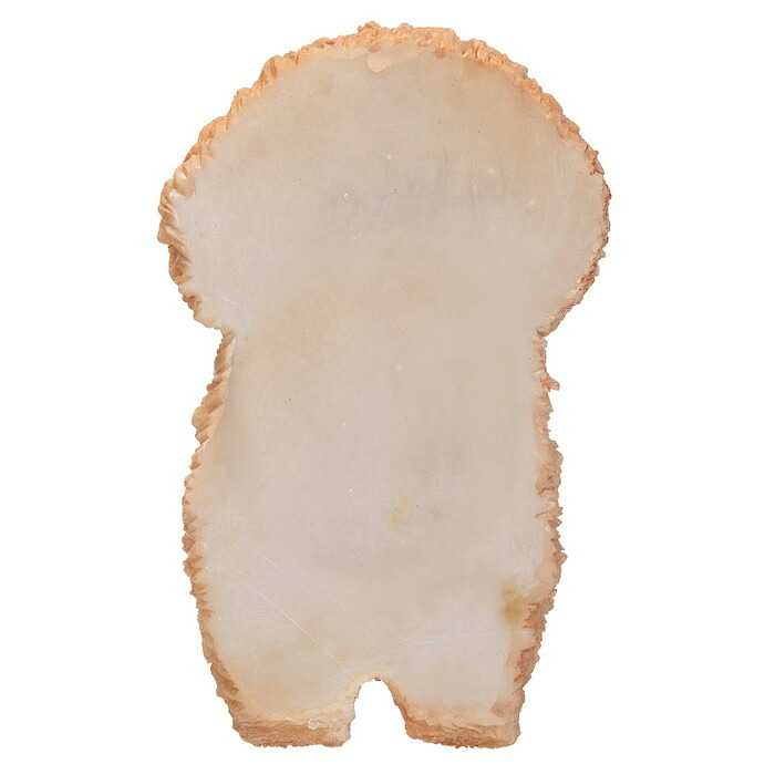 かわいい犬のオブジェ プードルのマグネット イヌ おしゃれ 玄関 インテリア 卓上 woobia ウービア |  | 04