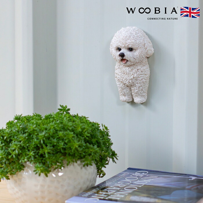 かわいい犬のオブジェ ビションフリーゼのマグネット イヌ おしゃれ 玄関 インテリア 卓上 woobia ウービア | 