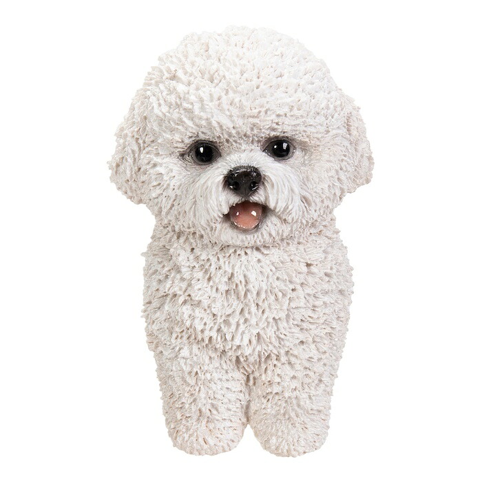 かわいい犬のオブジェ ビションフリーゼのマグネット イヌ おしゃれ 玄関 インテリア 卓上 woobia ウービア |  | 06