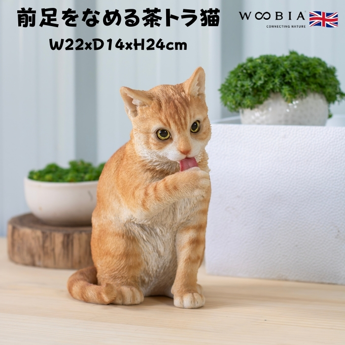 かわいい置物 前足をなめる茶トラ猫 ネコ 高さ24cm woobia 動物 おしゃれ 大きい 玄関 インテリア 庭 ガーデン オブジェ 北欧 リアル 大型 ウービア 面白い