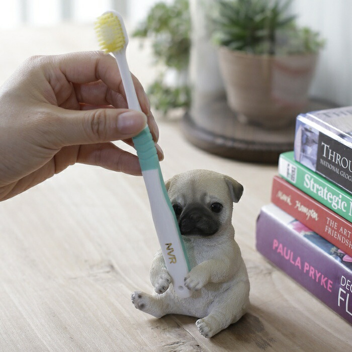 置物 犬 かわいい 動物 玄関 パグの歯ブラシ立て リアル インテリア ガーデンオーナメント woobia ウービア |  | 01