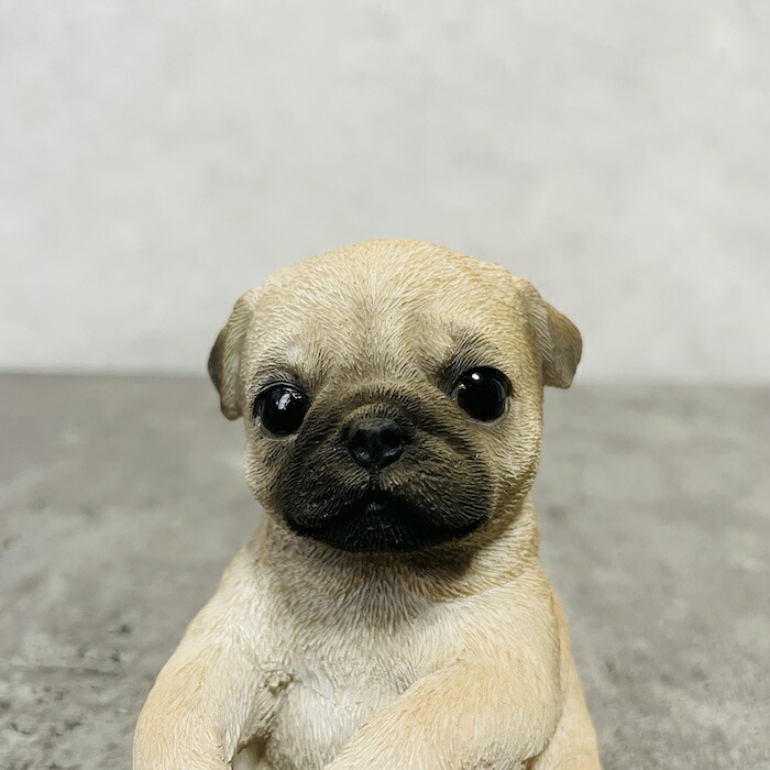 置物 犬 かわいい 動物 玄関 パグの歯ブラシ立て リアル インテリア ガーデンオーナメント woobia ウービア |  | 03