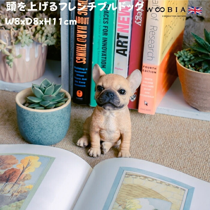 置物 犬 かわいい 動物 玄関 頭を上げるフレンチブルドッグ リアル インテリア ガーデンオーナメント woobia ウービア | WOOBIA