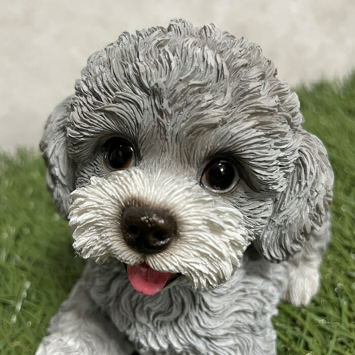 置物 犬 かわいい 動物 玄関 見上げるトイプードル グレー おしゃれ
