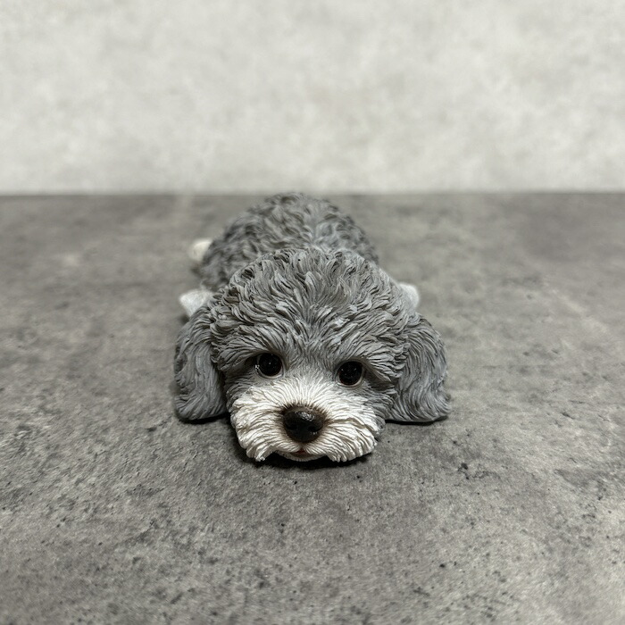 置物 犬 かわいい 動物 玄関 うつぶせトイプードル グレー おしゃれ