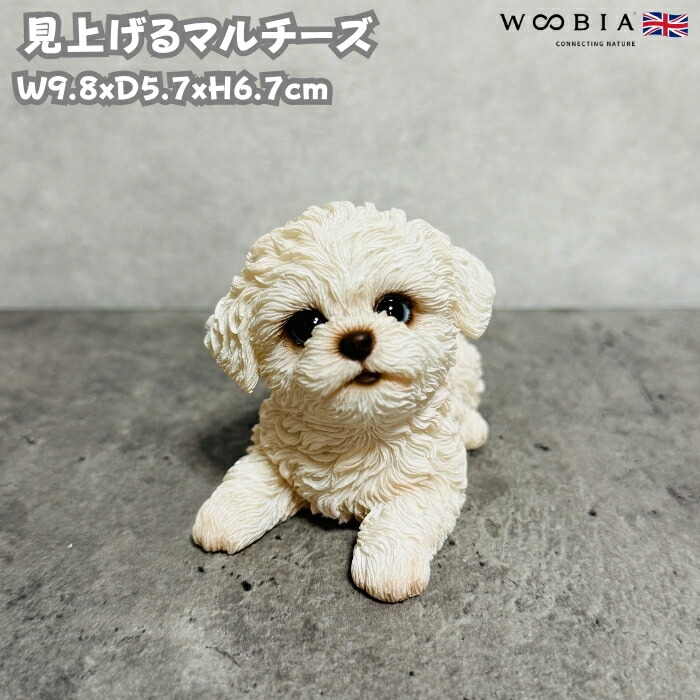 犬 置物 おしゃれ 見上げるマルチーズ かわいい 動物 インテリア オブジェ ガーデンオーナメント woobia ウービア | 