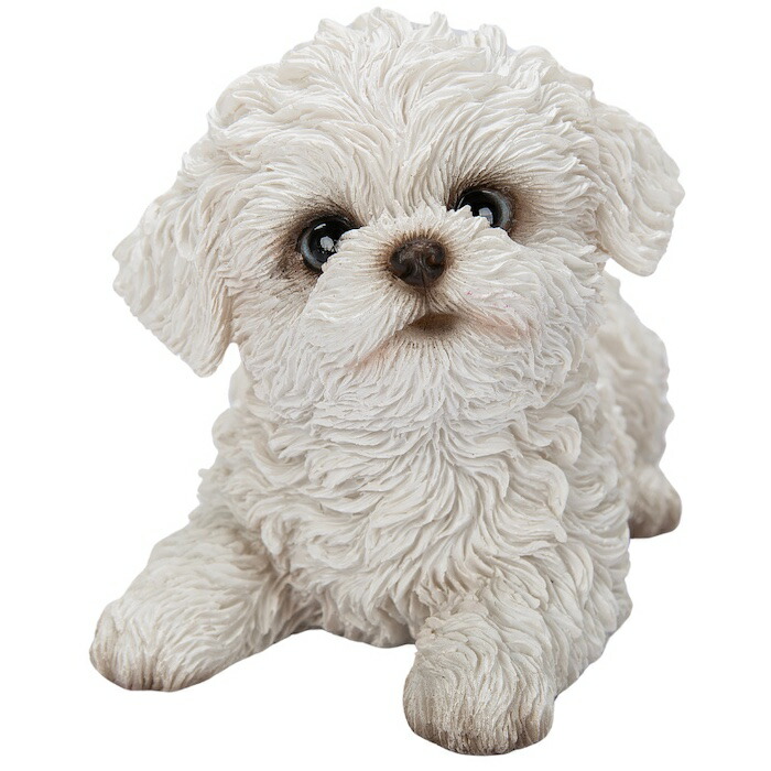 犬 置物 おしゃれ 見上げるマルチーズ かわいい 動物 インテリア オブジェ ガーデンオーナメント woobia ウービア |  | 09