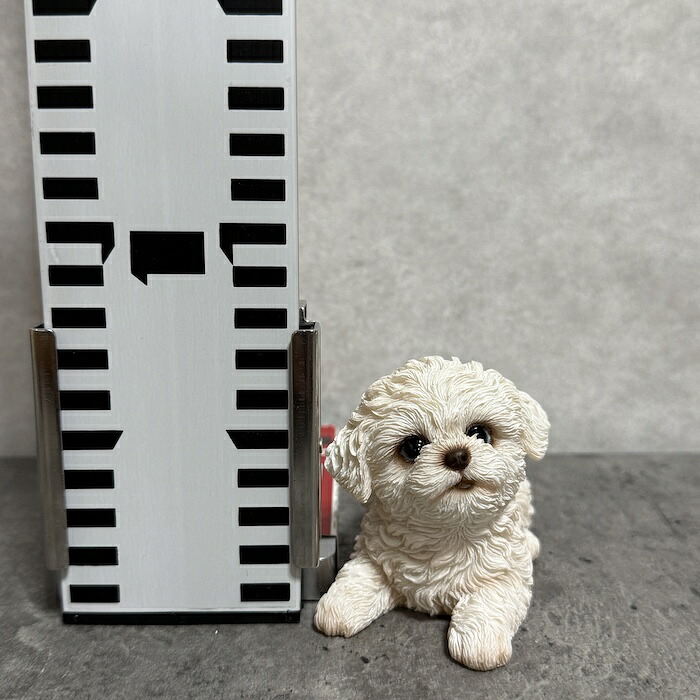 犬 置物 おしゃれ 見上げるマルチーズ かわいい 動物 インテリア オブジェ ガーデンオーナメント woobia ウービア |  | 01