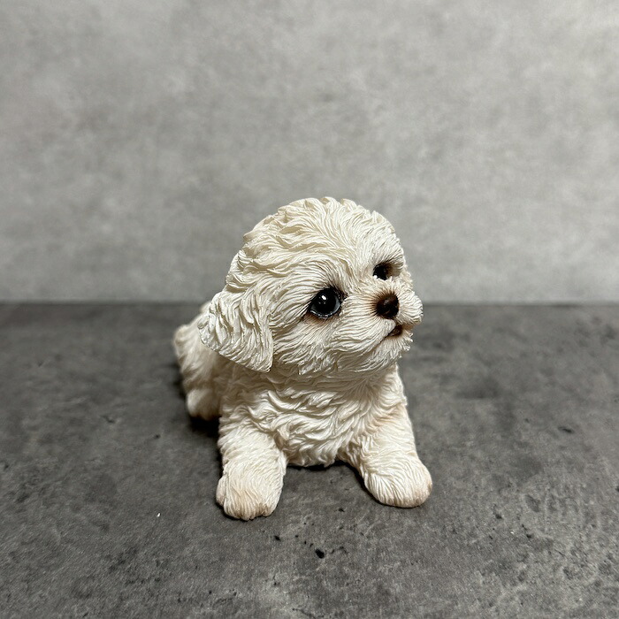 犬 置物 おしゃれ 見上げるマルチーズ かわいい 動物 インテリア オブジェ ガーデンオーナメント woobia ウービア |  | 07