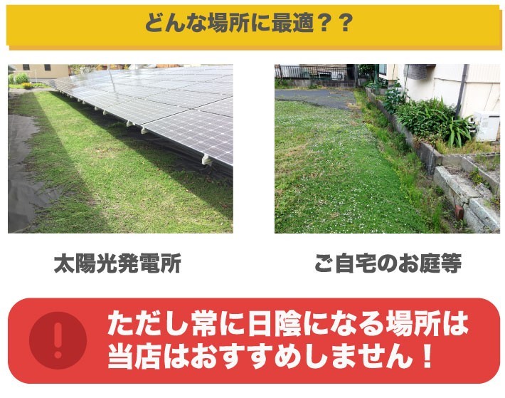 クラピアはどんな場所に最適？