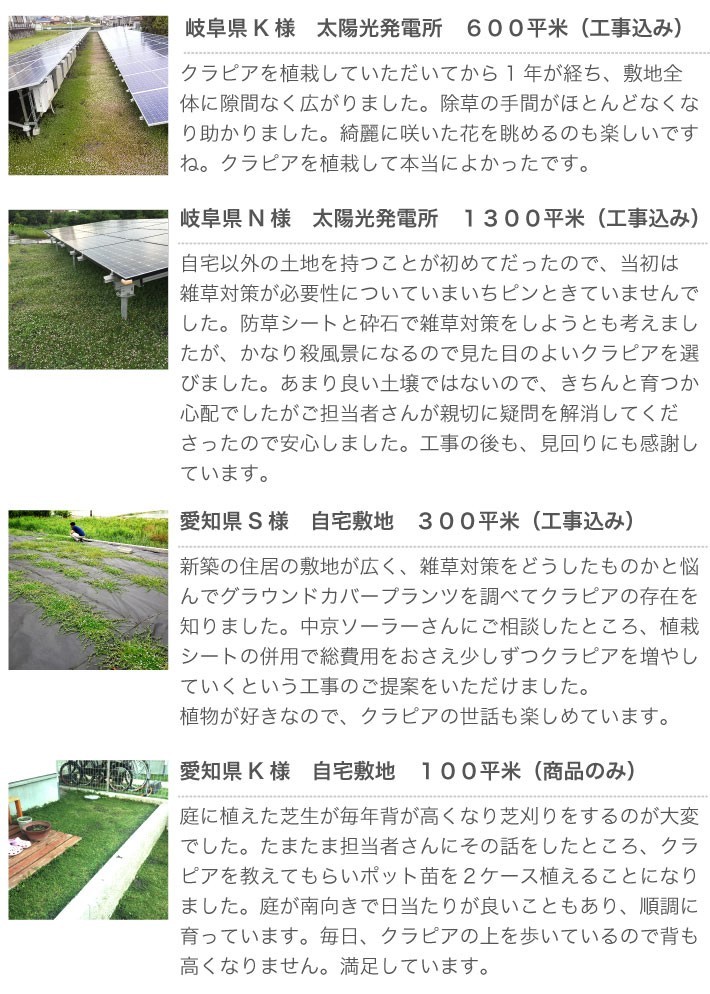 実際に植えたお客様の声