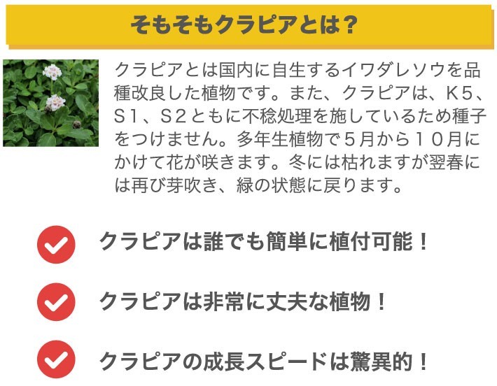 そもそもクラピアとは？