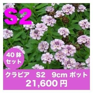 クラピアS2